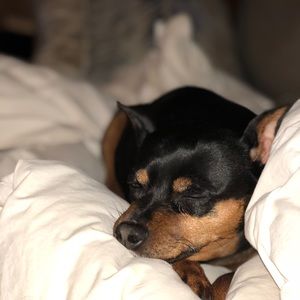 Meet your Posher, Jillian